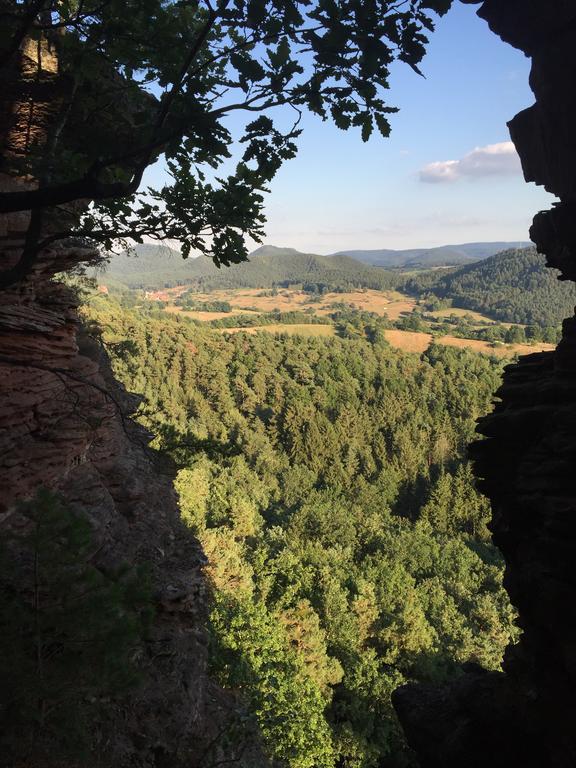 Fewo-Franca Dahn Buitenkant foto